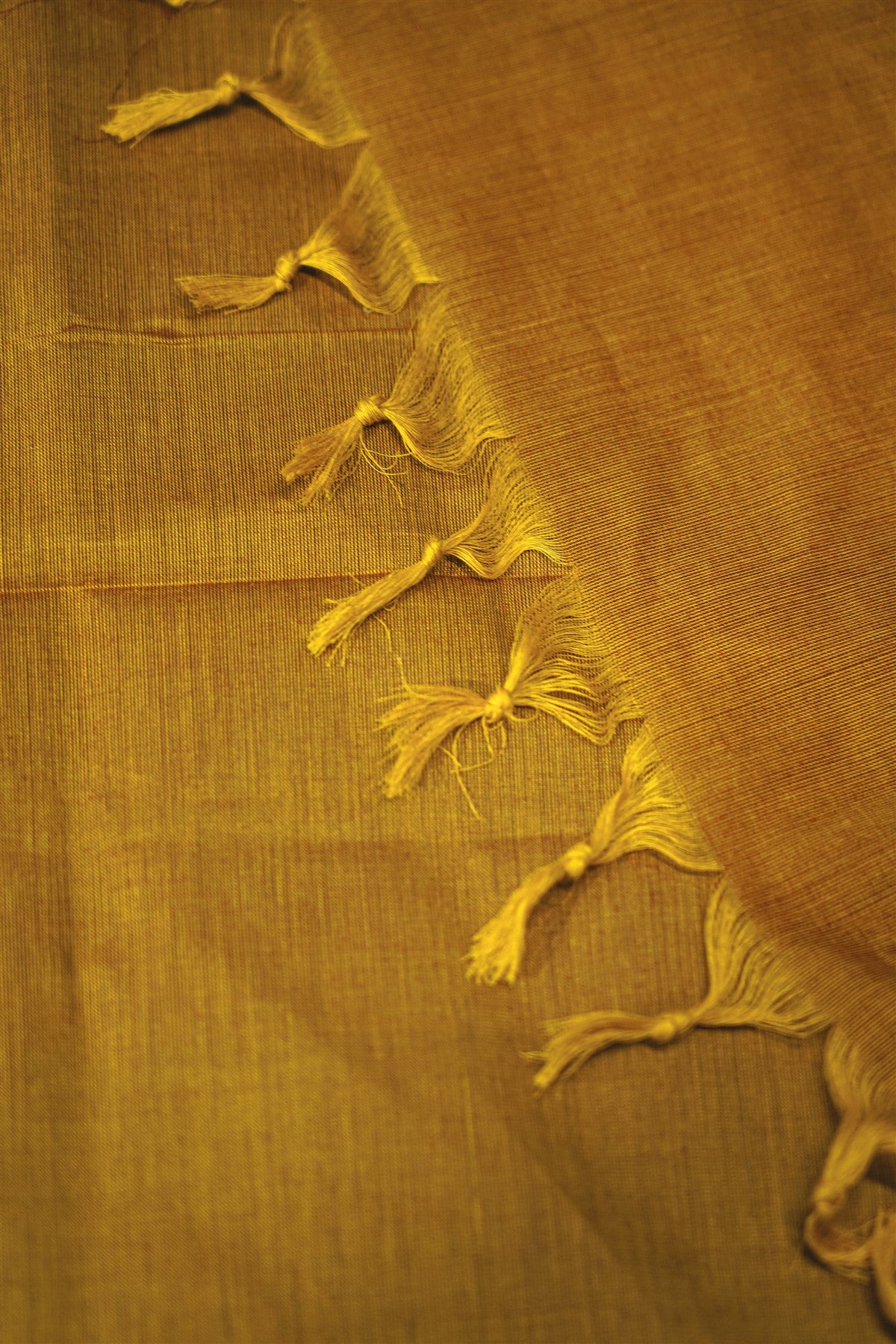Cotton Mustard Yellow Zari Woven Border Dress Material