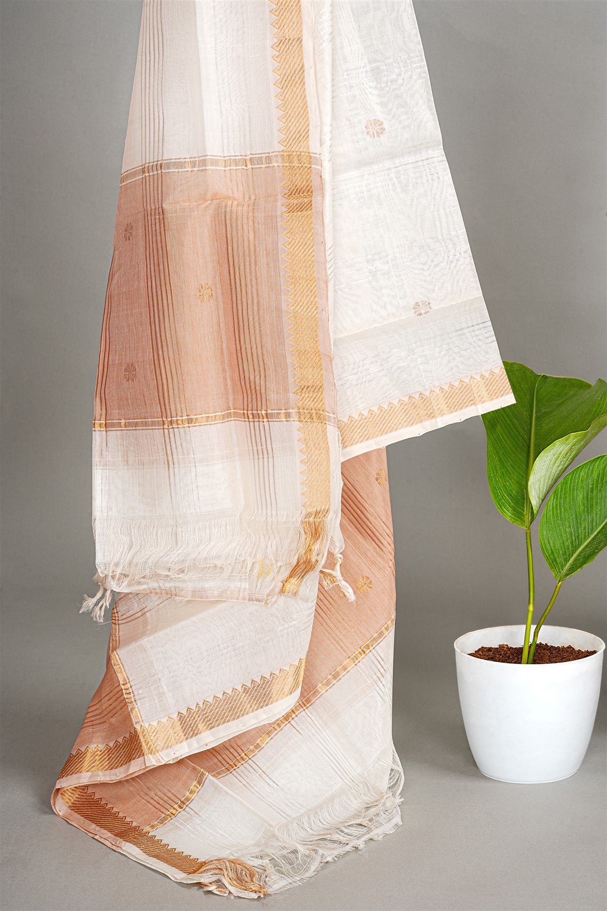 Sico Peach Zari Border Dress Material